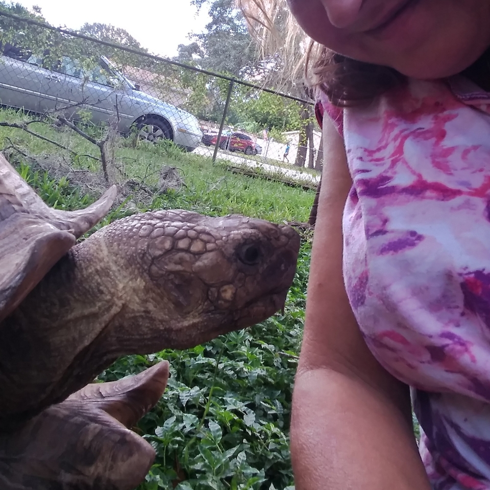 Thank you for my first posh party! - Picture 2 of 2